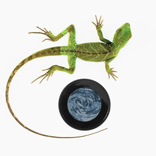 Escape-Proof Reptile Feeding Bowl Plastic Water Dish Large Round Terrarium Feeder for Snakes Lizards Turtles and Geckos