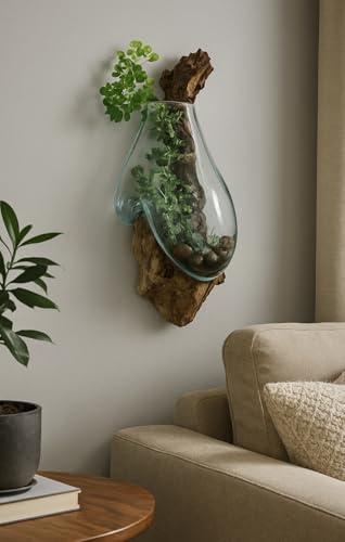 OMA Handcrafted Molten Glass on Driftwood Wall Planter Vase – Unique Hanging Terrarium & Decorative Sculpture – Rustic Coastal Wall Art for Succulents, Air Plants, Indoor Décor - Artisan Boho Gift