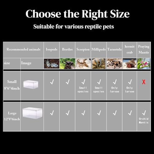 Tarantula Enclosure, Magnetic Escape-Proof Habitat for Tarantulas | 12×8×6" Clear PC Terrarium with Sliding Lid & 360° View, Ideal for Hermit Crabs, Isopods, Beetles & Large Invertebrates - size: A-M(12x8x6in)