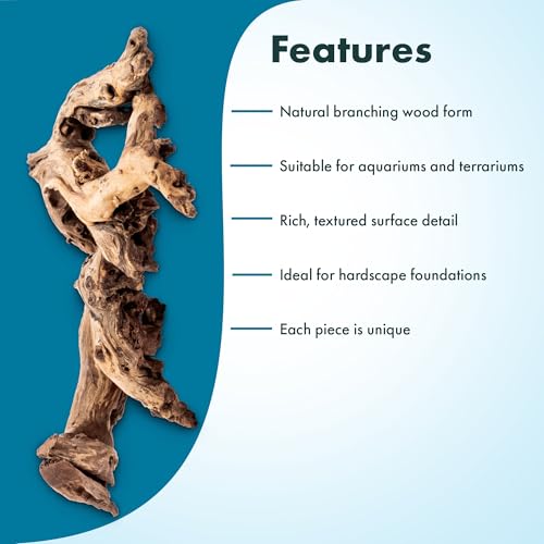 Natural Aquarium Driftwood for Fish Tanks, Terrarium, Reptile Habitats, Freshwater Aquatic Decor - Small to Large Pieces (Amazon Wood (Small) 4-8", 10 Pieces) - size: 10 Pieces