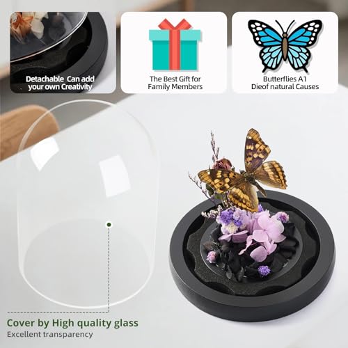 Handmade Butterfly Specimen Boxes Glass Cover Ornaments | Dried Flowers, Plants, Holiday Decorations Birthday Gift for Women - color: Apatura Ilia
