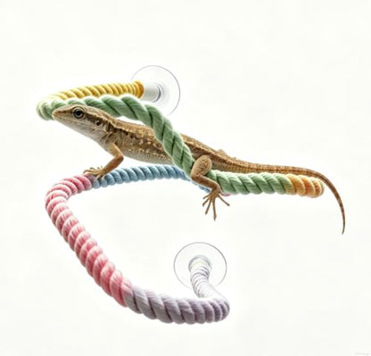 Gradient Cotton Rope Bendable Climbing Vine with Suction Cups, Flexible Twisted Bird Perch & Reptile Decor for Parakeet Cockatiel Parrot Ball Python Corn Snake Lizard Gecko