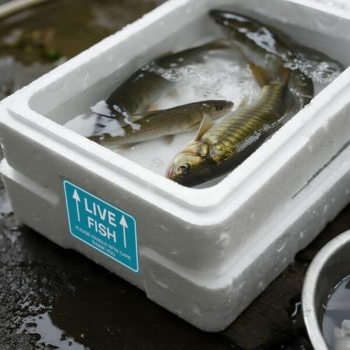 60PCS Live Fish Stickers Shipping Supplies,Please Handle with Care This Side Up Arrow Warning Stickers,Live Fish Shipping Labels(2"x3")