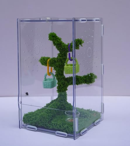 Jumping Spider Enclosure Kit with Acrylic Habitat, Feeding Tongs & Decor – 8.66"x5.12"x4.72" Ventilation Terrarium for Pet Spiders, Reptiles & Small Arboreal Pets