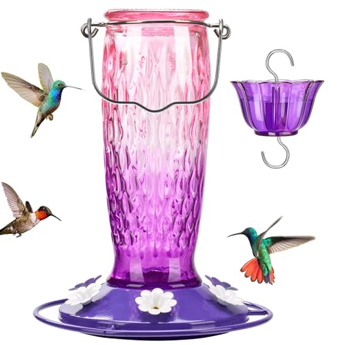 Kingsyard Glass Hummingbird Feeder for Outdoors with Ant Moat | 24 oz, Wide-Mouth Opening, 6 Metal Feeding Ports, Bee Guard, Easy to Clean & Refill Nectar, 360 Degree Perch, Pink & Purple - color: Pink & Purple