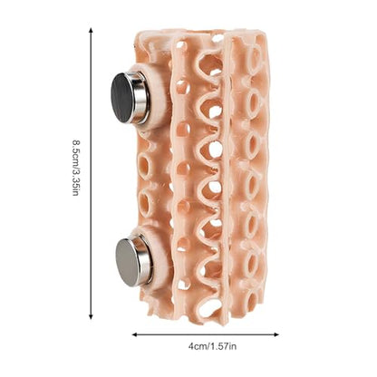 Jumping Spider Hide and Tunnel - 3D-Printed Small Reptile Enclosure Decoration, Magnetic Habitat Hideouts for Climbing and Shelter