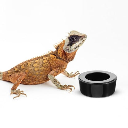 Escape-Proof Reptile Feeding Bowl Plastic Water Dish Large Round Terrarium Feeder for Snakes Lizards Turtles and Geckos
