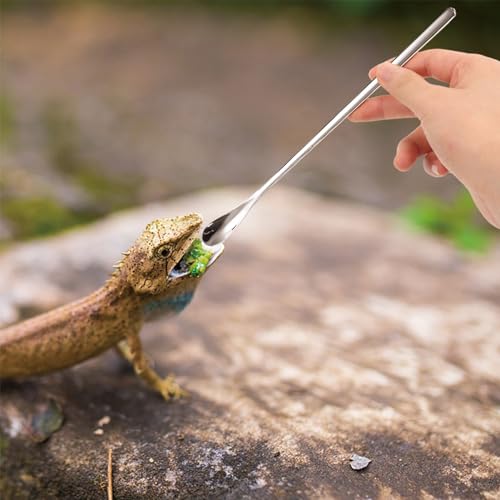 4Pcs Crested Gecko Feeding Spoon,Crested Gecko Tank Accessories,Reptile Powder Fruit Food Feeding Spoon Long Handle Feeding Tool Fits Gecko Gargoyle Bearded Dragon Lizard and Other Small Animals