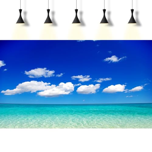 Ocean Sea Fish Tank Background Tropical Paradise Ocean Aquarium Background Sunny Seascape Terrarium Backgrounds Sunny Blue Sky Cloudy Seacoast Sandbeach Sea Waves Reptile Tank Backgrounds 24x12in - color: Aqua Blue, size: 24(W)x12(H)inches/ 60(W)*30cm(H)