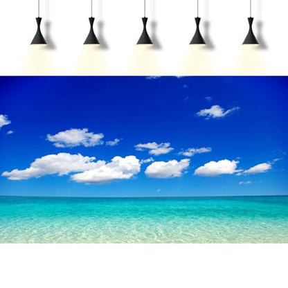 Ocean Sea Fish Tank Background Tropical Paradise Ocean Aquarium Background Sunny Seascape Terrarium Backgrounds Sunny Blue Sky Cloudy Seacoast Sandbeach Sea Waves Reptile Tank Backgrounds 24x12in - color: Aqua Blue, size: 24(W)x12(H)inches/ 60(W)*30cm(H)