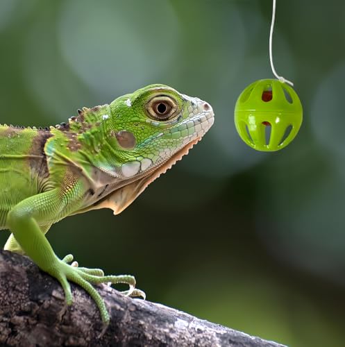 8 PCS Bearded Dragon Enrichment Toys Kit with Feeder Ball, Hanging Bell Balls, Suction Cups & Reptile Hammock - Interactive Foraging Feeder, Habitat Decor Accessories for Lizard Gecko Climbing Play