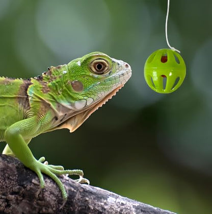 8 PCS Bearded Dragon Enrichment Toys Kit with Feeder Ball, Hanging Bell Balls, Suction Cups & Reptile Hammock - Interactive Foraging Feeder, Habitat Decor Accessories for Lizard Gecko Climbing Play