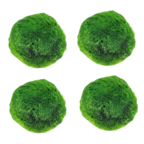 Plantas Naturales, 4-Pack Live Marimo Moss Balls, 2.7-2.9cm After Soaking - Natural Aquarium Plants for Fish Tank Decor & Ecological Bottles, Marimo Planta Viva