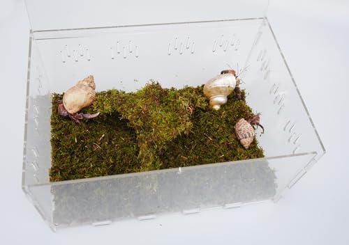 Hermit Crab Tank, Starter Cage Kit with 7 Inch Adjustable Climbing Toys and 3.5oz Substrate