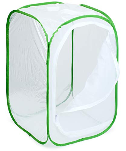 RESTCLOUD Insect and Butterfly Habitat Cage Terrarium Pop-up 23.6 Inches Tall - color: White With Green, size: 15.7 x 15.7 x 23.6 inches