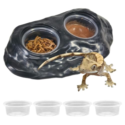Tfwadmx Magnetic Reptile Feeder Ledge, Gecko Feeder Ledge with 4 Cups Reptile Feeding Bowl Terrarium Accessories for Geckos Lizards Chameleons Frog (Black) - color: Black