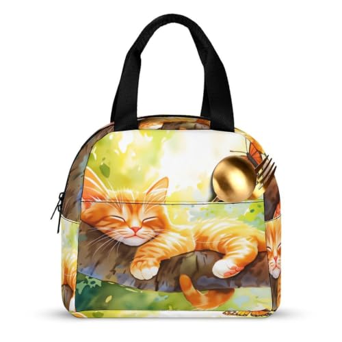 Sleepy Cat Lunch Bag for Women Men | Insulated Lunch Box Leakproof Food Meal Containers Reusable Foldable 6L Capacity Lunch Tote Bags for Work Picnic Travel - color: style-7