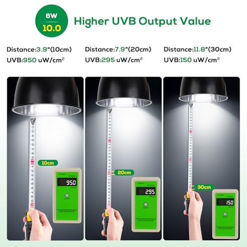 High Intensity UVB Reptile Light Bulb 6W 10.0 Full Spectrum UVA UVB for Reptiles simulating Sunlight Promote Synthesis of Vitamin D3 in Reptile Pets for Turtle,Lizard,Bearded Dragon,Spider - size: 6W10.0