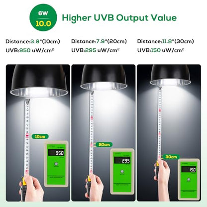 High Intensity UVB Reptile Light Bulb 6W 10.0 Full Spectrum UVA UVB for Reptiles simulating Sunlight Promote Synthesis of Vitamin D3 in Reptile Pets for Turtle,Lizard,Bearded Dragon,Spider - size: 6W10.0