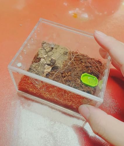 Insect breeding Box Reptile Feeding Box, Waterproof Enclosure Enclosure for arboreal Tarantula Scorpion Sling Lizards Snake Gecko Jumping Spider Snail Isopods (3.9 * 3.3 * 2.3inch)