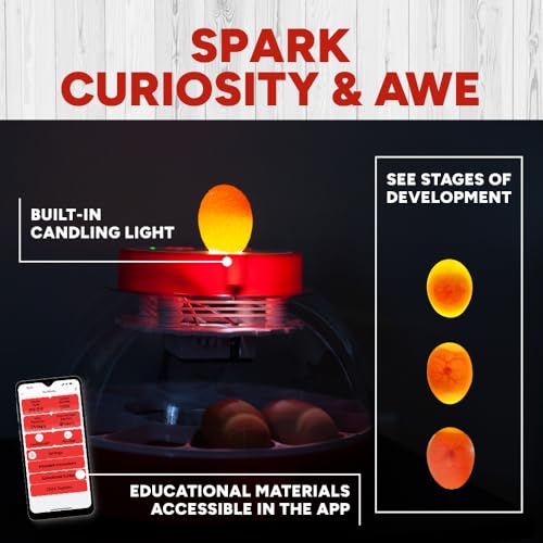 RentACoop 16-Egg Smart Incubator – App Controlled, Auto-Turn, Built in Candling Light Perfect for Chickens, Ducks, and Quail!