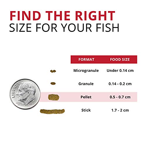 Fluval Bug Bites Cichlid Fish Food, Pellets for Medium to Large Sized Fish, 3.74 lb. - size: 59.80 Ounce (Pack of 1)