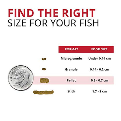 Fluval Bug Bites Cichlid Fish Food, 15.8 oz. | Granules for Small to Medium Sized Fish - size: 15.8 Ounce (Pack of 1)