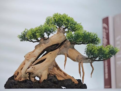 Azil Bonsai Driftwood Aquarium Tree for Aquarium Decor Fish Tank Decorations (10.1'' Length)