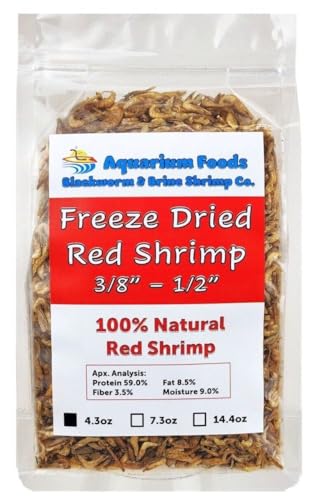 Red Shrimp, 3/8" to 1/2" Floating Freeze Dried Red Shrimp for All Tropical Fish, Cichlids, Medium Size Catfish, Marines, Pond Fish, Turtles, Hamsters, Rodents…4.3oz Clear Bag - size: 4.3 Ounce (Pack of 1)