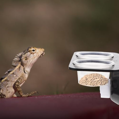 TOYANDONA Reptile Feeder with Suction Cup, Escape-Proof Worm Container and Dual-Compartment Food Bowl, Sturdy Plastic Feeding Dish for Geckos and Lizards, Terrarium Feeding Supplies