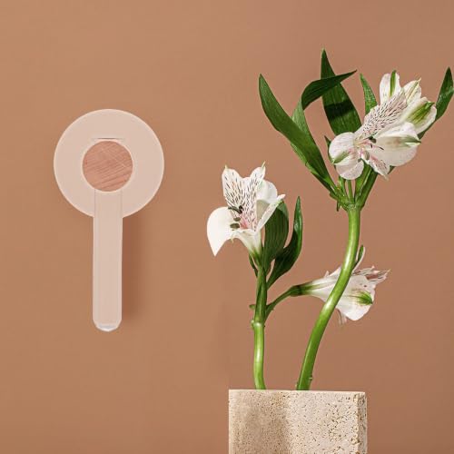 Plant Propagation Station with Wooden Stand and Glass Tubes for Hydroponic Plants, Wall Hanging Terrarium Planter with Nail-Free Mounting System, Japanese Inspired Modern Decor