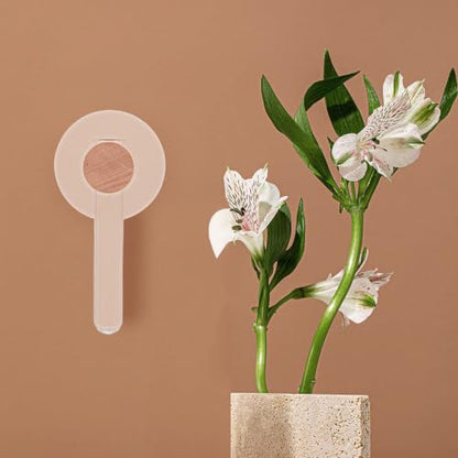 Plant Propagation Station with Wooden Stand and Glass Tubes for Hydroponic Plants, Wall Hanging Terrarium Planter with Nail-Free Mounting System, Japanese Inspired Modern Decor