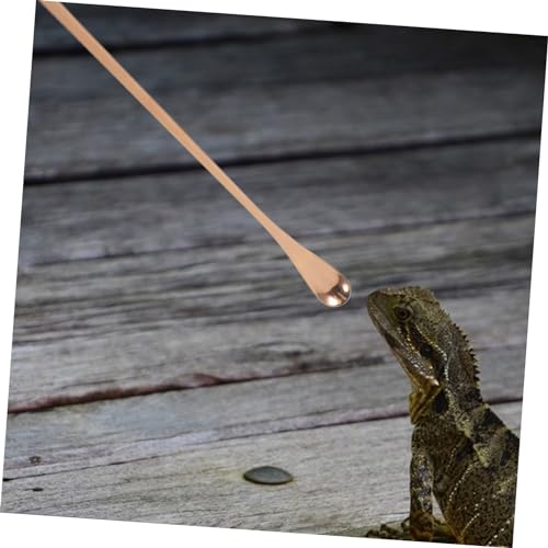 Happyyami 2pcs Reptile Feeding Handle Lizard Food Scoop Tool for Mixing and Fruit Pet Feeding Utensils for Lizards and Animals - color: Rose Gold