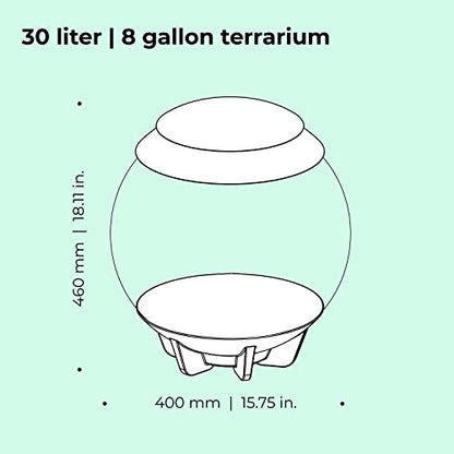 biOrb AIR 30, Fully Automated Terrarium for Arid, Temperate, or Tropical Plants, White - color: White