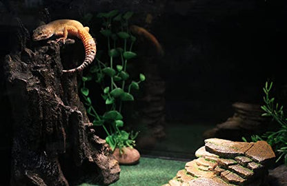 Penn-Plax Reptology Shale Step Ledge Cave Hideout - Aquarium & Terrarium Decoration - for Fish, Reptiles, Amphibians, and Small Animals - Large 2 (REP189) - size: Large 2