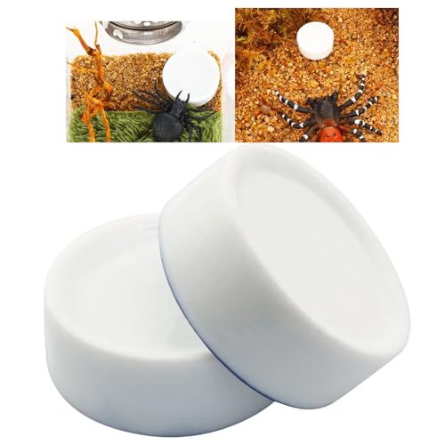 4PCS Small Animal Food Bowl Size 4 35x13mm Mini Ceramic Water Dish Cricket Feeding Dish for Tarantulas Scorpions Snails Mantis Micro Reptile Food Bowl