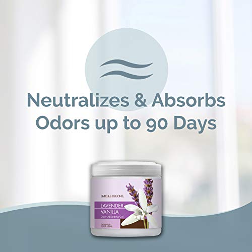 SMELLS BEGONE 15oz Gel Odor Eliminator - Absorb & Remove Tough Odors in Pet Areas, Bathrooms, Basements, Garage, Cars, RVs & Boats - Eliminate Odors Quickly (2-Pack, Lavender Vanilla) - size: 15 Ounce (Pack of 2)