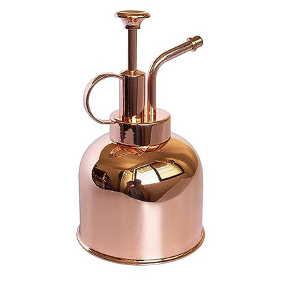 Plant Mister Spray Bottle Stainless Steel Plant Sprayer, Small Watering can Plant Spray Bottle Modern Gardening Tools for Indoor Potted Plants Watering and Spraying - color: 10oz/ Rose Gold