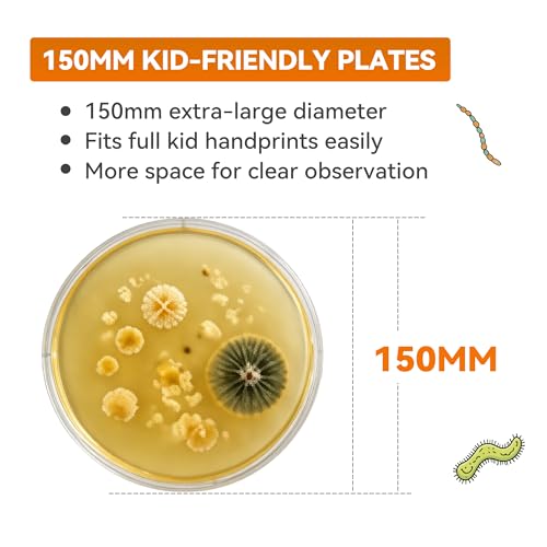 Kids Bacteria Handprint Kit - 2 Giant 150mm Prepoured Agar Petri Dishes | Fun STEM science kit with 2 giant sterile agar plates, magnifying glass & swabs for kids' handprint experiments. - color: Kids Bacteria Handprint Kit