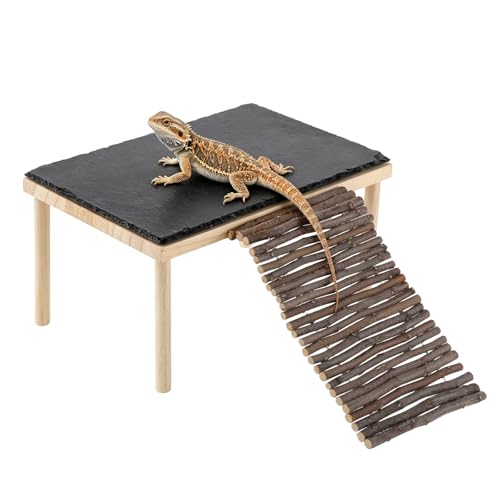 Basking Rock Platform with Climbing Ramp Slate Painted Glossy Black Platform Reptile Resting Area Bearded Dragon Hiding Burrow Reptile Tank Accessory for Tortoises Lizards Toads Geckos