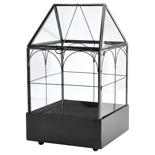 Glass Terrarium with Metal Tray, Glass Greenhouse Terrarium Kit | for Succulents, Cacti, Snails, Spiders, and Miniature Reptiles, Black (Small-5.9" L x 5.9" W x 10.2" H) - size: Small-5.9"L x 5.9"W x 10.2"H