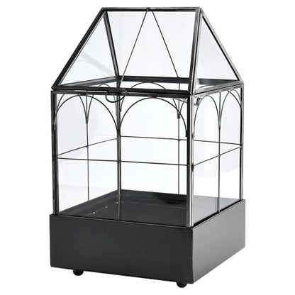 Glass Terrarium with Metal Tray, Glass Greenhouse Terrarium Kit | for Succulents, Cacti, Snails, Spiders, and Miniature Reptiles, Black (Small-5.9" L x 5.9" W x 10.2" H) - size: Small-5.9"L x 5.9"W x 10.2"H