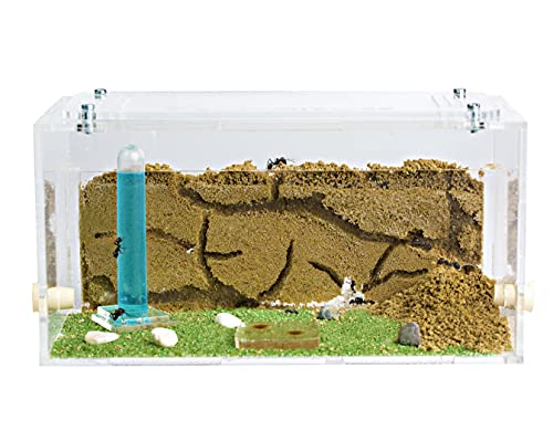 Anthouse.ES - Natural Sand Ant Farm - Acrylic Starter Kit 20x10x10 cm - Sand, Pipette, and Water Dispenser Included - Easy Installation - color: Clear