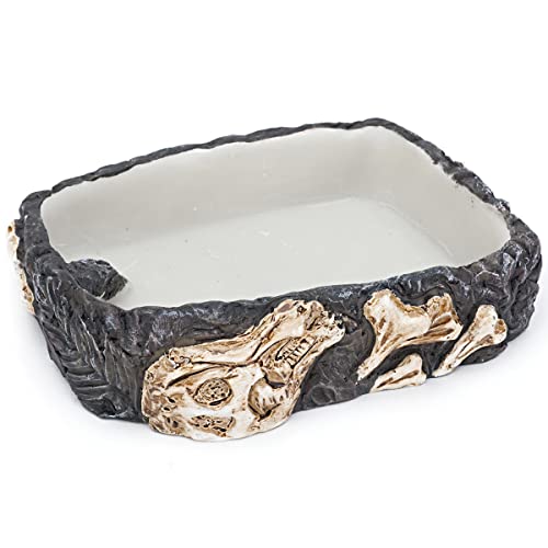 Penn-Plax Reptology Reptile Fossil Rock Food/Water Dish – Great for Bearded Dragons, Geckos, Chameleons, Snakes, Hermit Crabs, and Many More – Medium - size: Medium