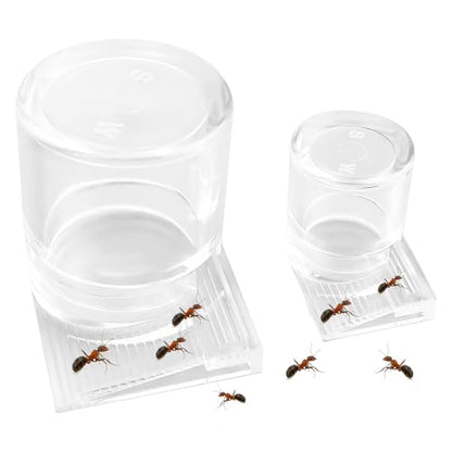 2pcs Mini Ant Water Feeder - Transparent Liquid Feeding Bowls for Ant Farms Small Reptiles Ideal Insect Drinking Tools