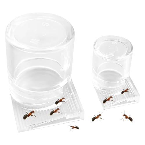 2pcs Mini Ant Water Feeder - Transparent Liquid Feeding Bowls for Ant Farms Small Reptiles Ideal Insect Drinking Tools