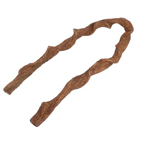 AQUA KT Reptile Twist Climber Vine Bendable Branch for Lizard Snake Bearded Dragon Crested Gecko Climbing Accessory Terrarium Habitat Decoration