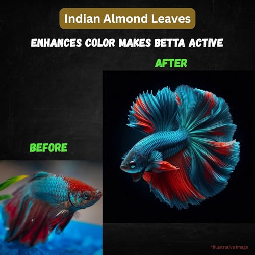 80 Pcs Dried Indian Almond Catappa Ketapang Leaves 4" – Natural Leaf Litter for Betta, Goldfish, Guppy, Tetras & Frogs, Aquarium Botanicals for Fish Tanks, Aquascaping & Terrariums