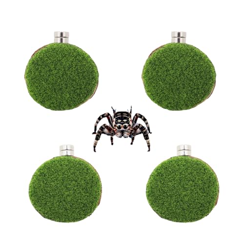 Jumping Spider Accessories, 4 Pack Wooden Ledges with Magnets, Natural Pine Spiders Ledges, Jumping Spider Enclosure Accessories, Magnetic Reptile Ledge - color: Green Artificial Grass