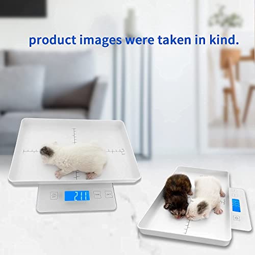 Digital Pet Scale for Small Animal, Whelping Scale,Mini Precision Gram Weight Balance Scale, High Precision 1g, Suitable for Newborn Pets - color: White 1g